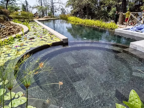 Kolam Alami — Jawa Timur